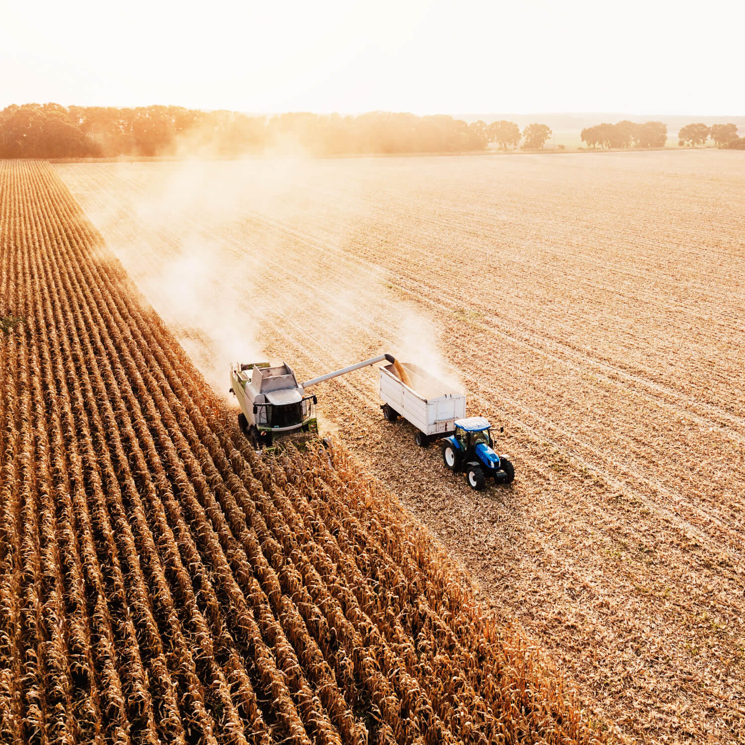 We speak the many languages of agribusiness